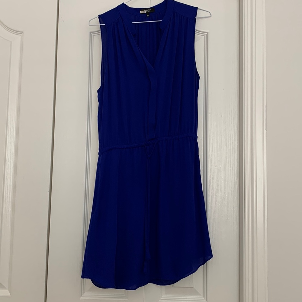 Aritzia Dress